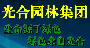 ��ψ@�ּ��F