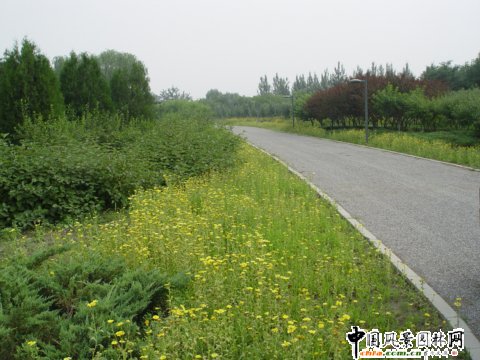 2008年奧運精品工程奧林匹克森林公園北區