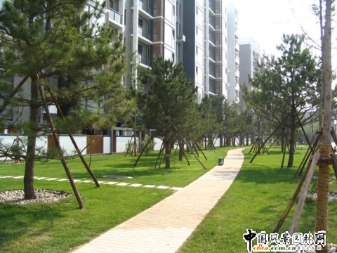 2008奧運精品工程之奧林匹克公園b區奧運村(b區)