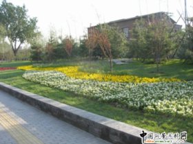 2008北京社會精品工程之珠市口鋪陳市綠地