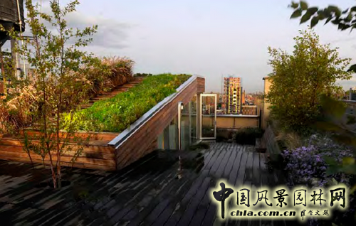 園博會設計師廣場