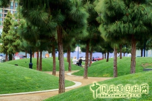 馬丁路德金景觀大道植被