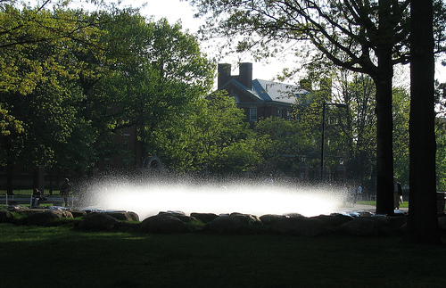 唐納噴泉春季景觀