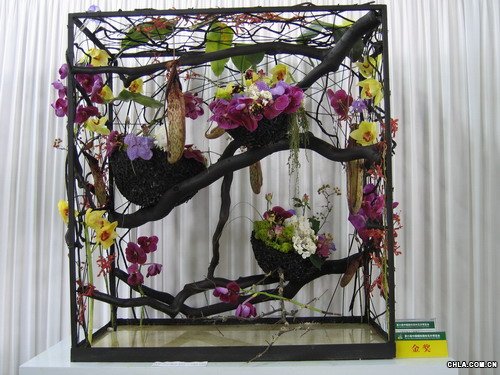 �廨\�M�����mһԺ�㡪�Ϻ�����־�|