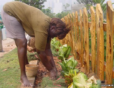 ������Ї�(gu��)��(gu��)�H�@�ֻ��ܲ��[��(hu��)���e��(�M�D)