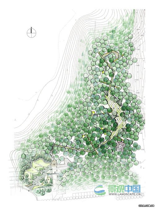 �D1 ��ƽ��