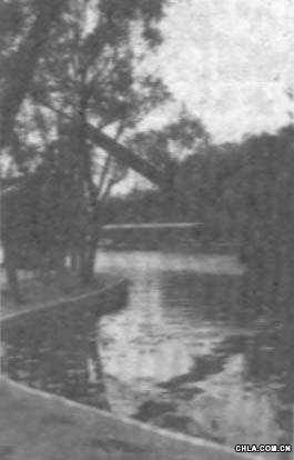 “勇敢者之路”局部??高架滑梯