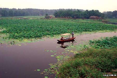 �vʷ�ϵĈA���@ˮ��2000�஀���ɻ�����Ҫ��ˮ��ֲ��