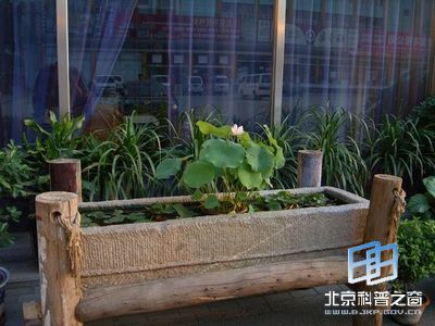 �Ă��y(t��ng)��(x��)�׽Ƕ��x���b���_��ֲ��