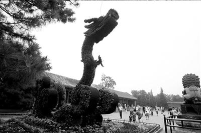 �U�͈@�|�m�T�����ε���