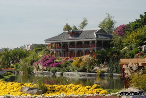 ����(c��)����