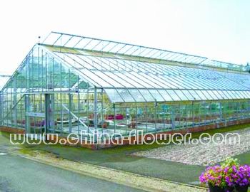 ����������Ȼͨ�L(f��ng)�ڵ��O(sh��)��