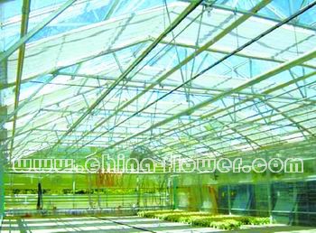 ���ҵă�(n��i)���ϵ�y(t��ng)