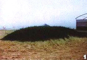 ɽ�|���_���枩���I���@һ����~���G����ȻȺ�����L��r