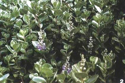 ���~���G�_���r