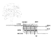 ��ʽ�������o��