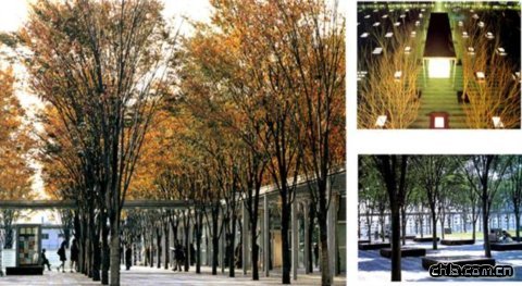 �������e�V��(ch��ng)�O(sh��)Ӌ(j��)�D