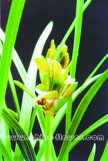 ���m��Ʒ�N��������ĵ��(�����m)