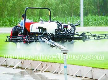 �����ˆT�ڲ�ƺ���؞顰�B������ƺ��ˎ