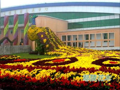 ۳��ڰˌ���ԭ��ľ���ײ��[��