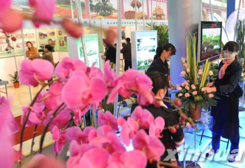 ��ľ���[��