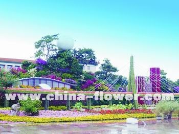 �찲�T�V�����c�[��