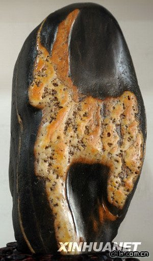 第五屆柳州國際奇石節精彩紛呈