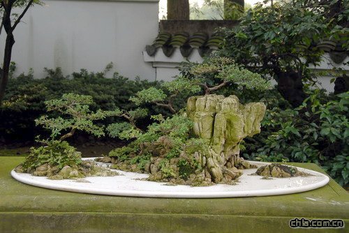 �ؑc��ɽֲ��@�辰�@��(n��i)�辰