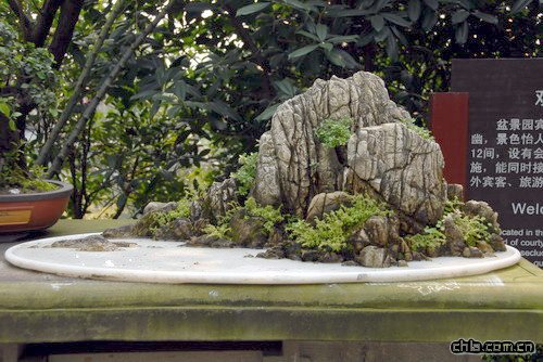 �ؑc��ɽֲ��@�辰�@���辰