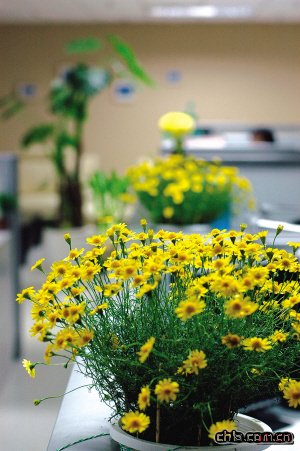 �k������Ļ�������