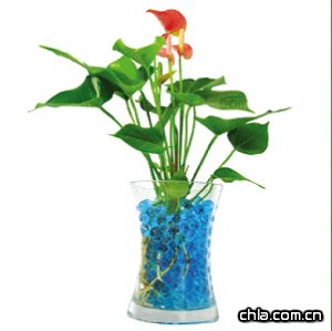 �k������Ļ�������