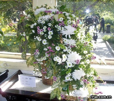 �������@�e�k�ڶ�ʮ�Ōþջ�չ