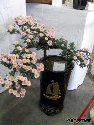 �������@�e�k�ڶ�ʮ�Ōþջ�չ