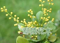 ���ӷ����m�������~(�D)