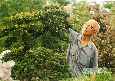 ���Ӱ��辰�󎟘䘶�ΑB�辰��Ȼ�·f(�D)