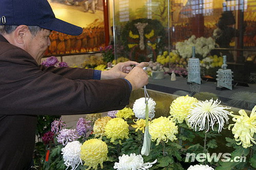 �����ݾ�׃��ʮ�ꡱ���}�ջ�չ���쉯���@�_չ