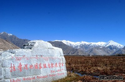 ӡ�����ء��������������