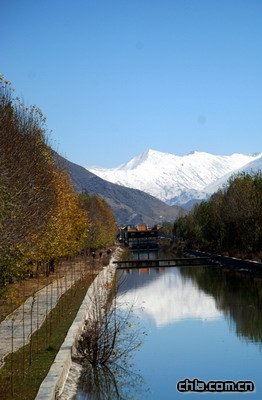 ӡ�����ء��������������