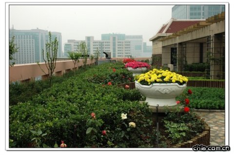 ��ί���h��һ��