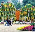 �Ϻ������ﶼ��ɭ�־ջ�չ�M(j��n)������p����(�M�D)