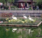 ʒɽ��35000��ջ����n���¹��@(�D)