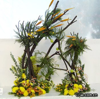 �ڰˌ��Ї��ջ�չ���֫@���廨��Ʒ���p(�M�D)