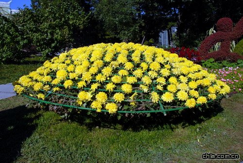 �������������(�D)