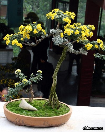 �ջ��辰����(�D)