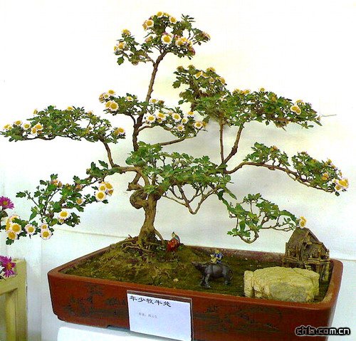 08�걱����չ�Ⱦջ��辰���p(�M�D)