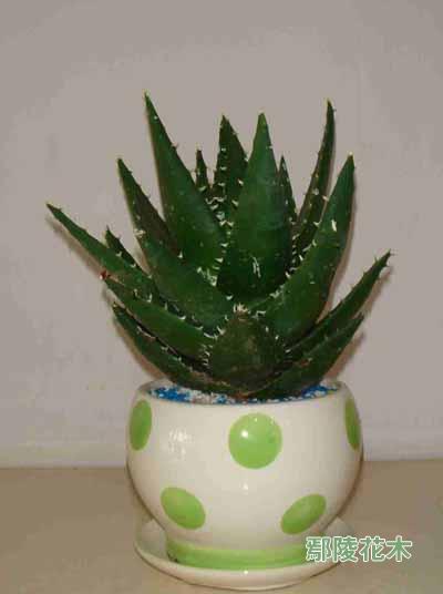 �J�CԽ���ķ�������(�D)