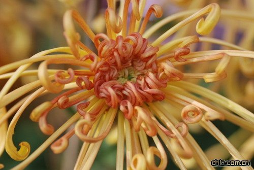 �ջ������Ľ�Q��ʩ(�D)