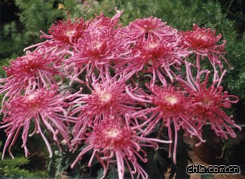 ���^�յ�����Ҫ�c(�D)