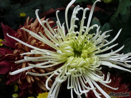 �ջ���Ҋ�����N���������η���(�D)