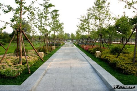 ���������S·���ξG�����칤��